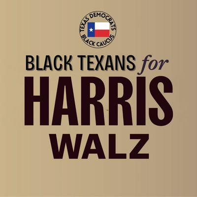 Image post by @txblackdems on Instagram