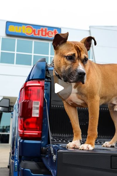 Image post by @paulmillerautooutlet on Instagram