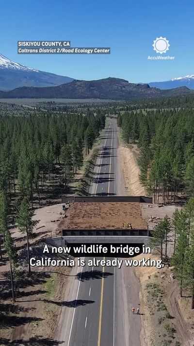 Video post by @accuweather on TikTok