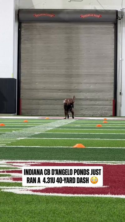 Video post by @NFL on Twitter