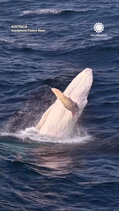 Video post by @accuweather on Instagram