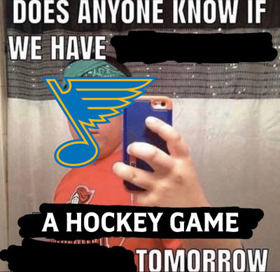 Image post by @stlouisblues on Instagram