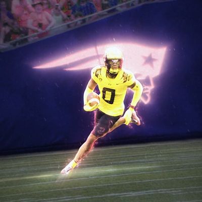 Video post by @GoDucks on Twitter