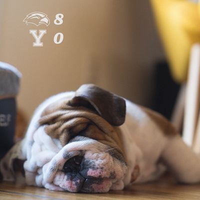 Image post by @southernmisssb on Instagram