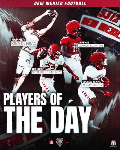 Image post by @unmlobofb on Instagram