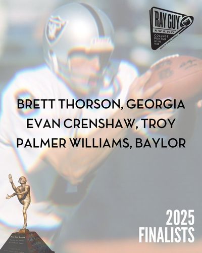 Image post by @RayGuyAward on Twitter