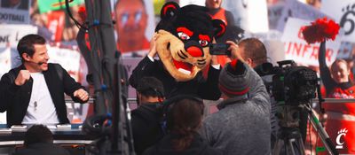 Video post by @GoBEARCATS on Twitter