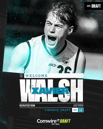 Image post by @PAFC on Twitter