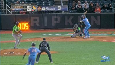 Video post by @IronBirds on Twitter