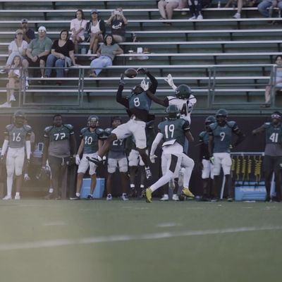 Video post by @randy.edwards.productions on Instagram