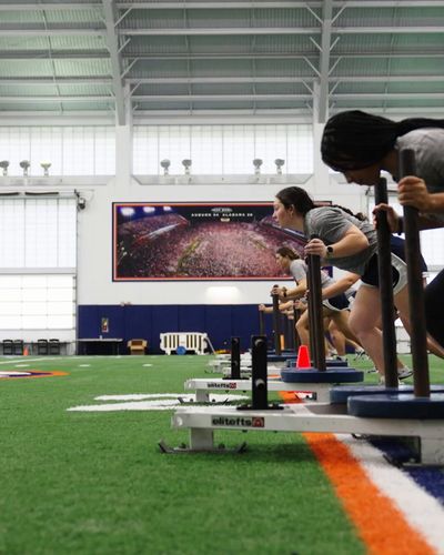 Video post by @AuburnSoftball on Twitter