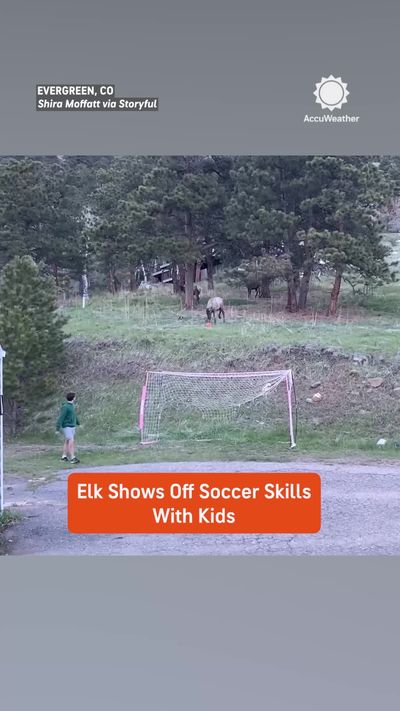 Video post by @accuweather on TikTok