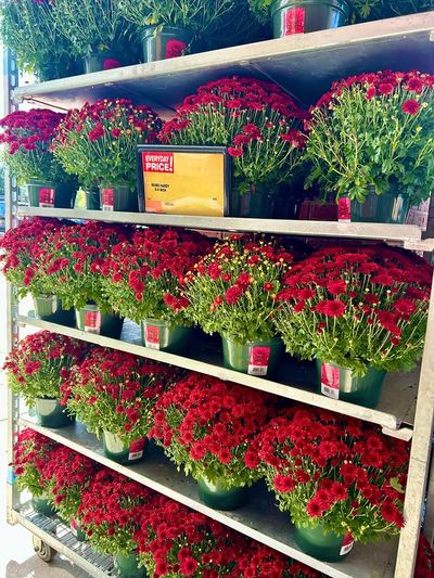 Image post by @shawssupermarket on Instagram