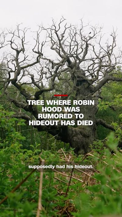 Video post by @cnn on TikTok
