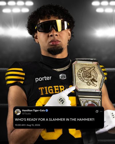 Image post by @Ticats on Twitter/X