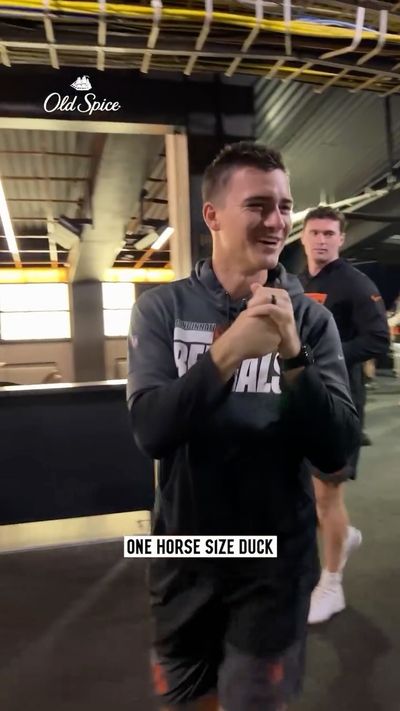 Image post by @bengals on Instagram