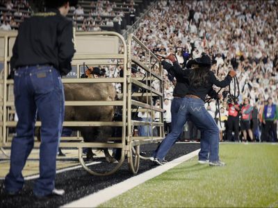 Video post by @CUBuffs on Twitter