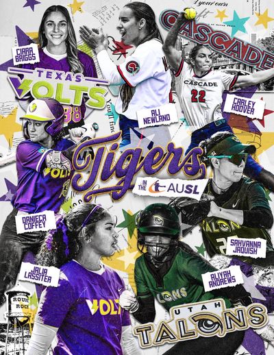 Image post by @LSUsoftball on Twitter