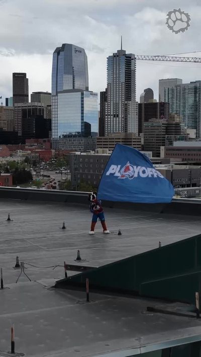 Video post by @avsbernie on Instagram