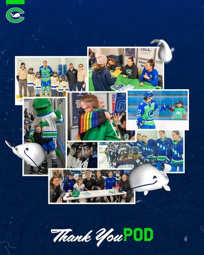 Image post by @connecticutwhale on Instagram