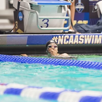 Image post by @indianaswimdive on Instagram