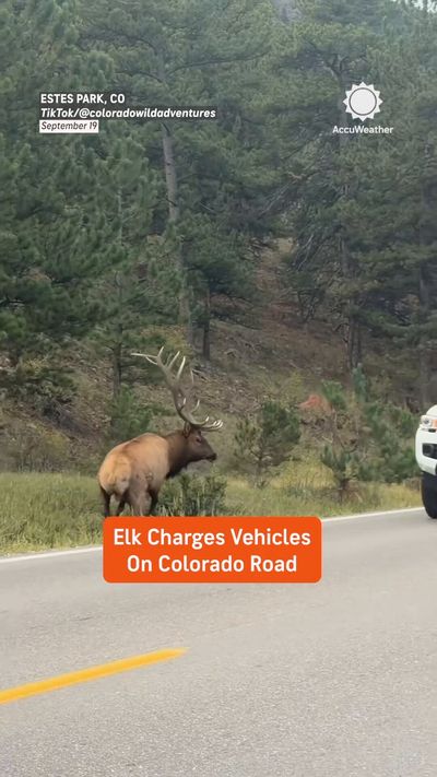 Video post by @accuweather on Twitter/X