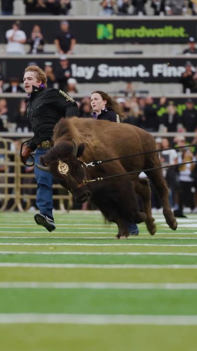 Video post by @cubuffs on Instagram