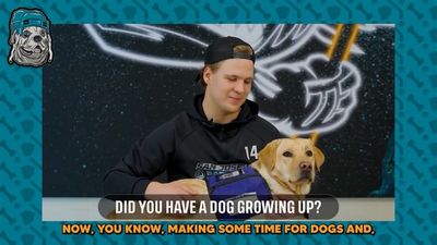 Video post by @sjbarracuda on Instagram