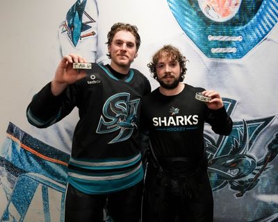 Image post by @sjbarracuda on Twitter
