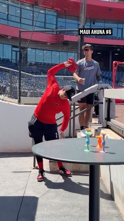 Video post by @gosquirrels on Instagram