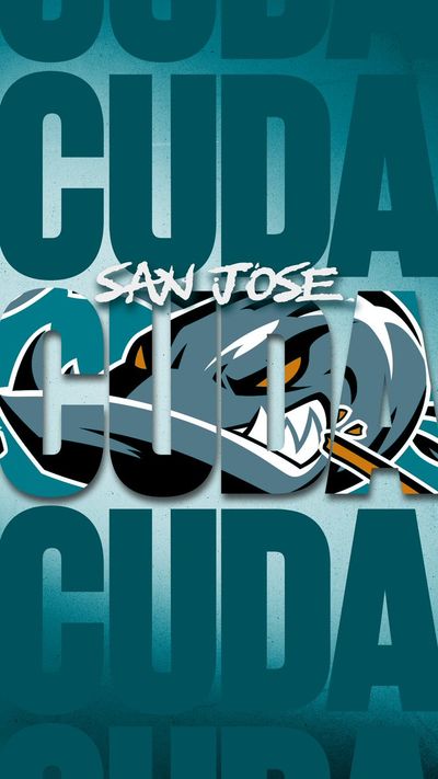 Image post by @sjbarracuda on Twitter
