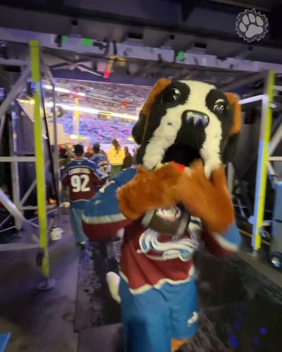 Video post by @AvsBernie on Twitter