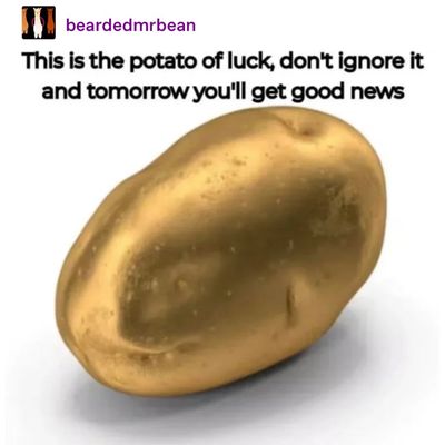 Image post by @tumblr on Twitter