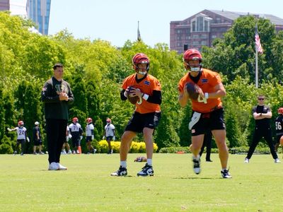 Image post by @bengals on Instagram