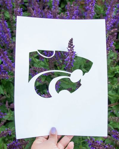 Image post by @KState on Facebook