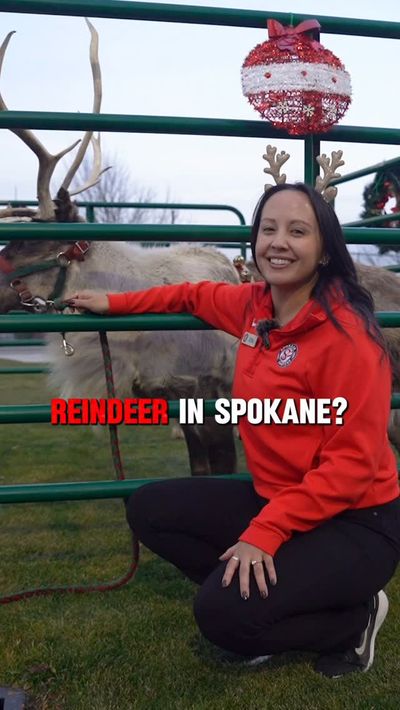 Video post by @spokaneindiansbaseball on Instagram