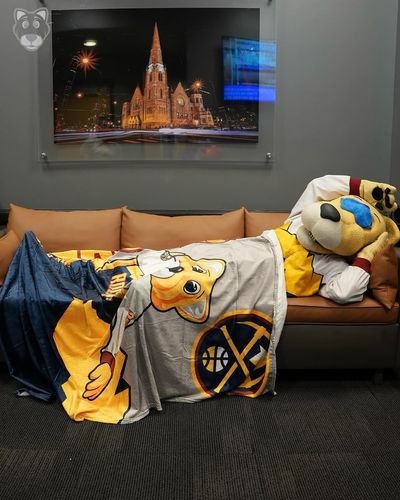 Image post by @thesupermascot on Instagram