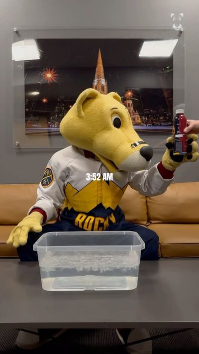 Video post by @thesupermascot on Instagram