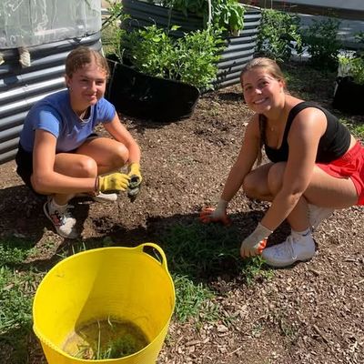 Image post by @psuoutreach on Instagram