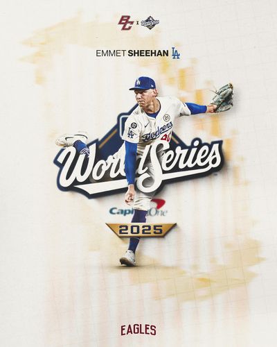 Image post by @bcbirdball on Instagram