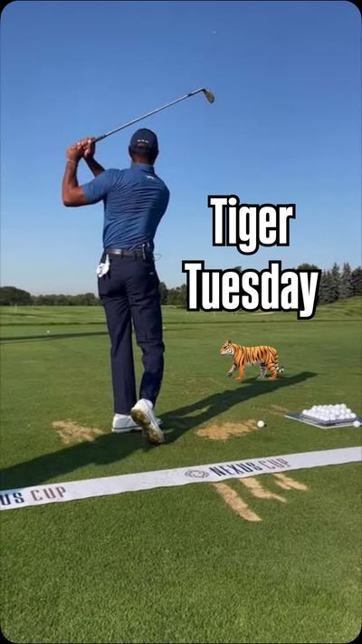 Video post by @pgatour on Instagram