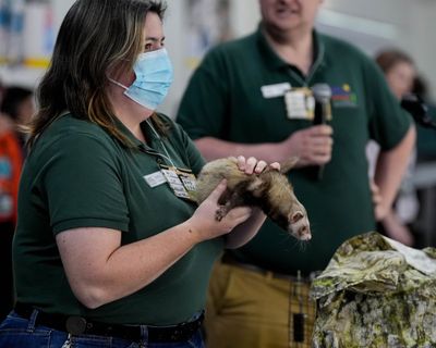 Image post by @sjbarracuda on Twitter