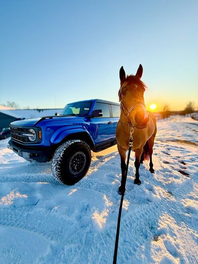 Video post by @paulmillerky on Instagram