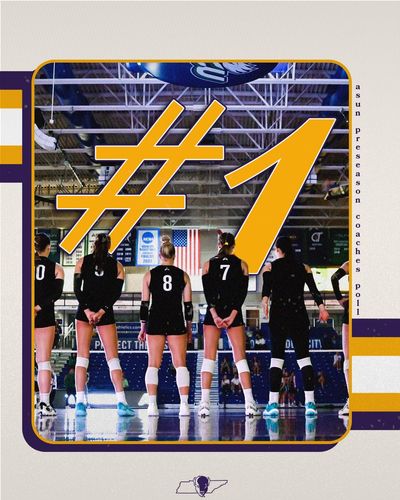 Image post by @LipscombVBall on Twitter