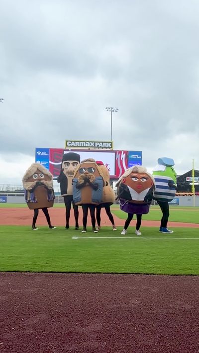 Video post by @gosquirrels on TikTok