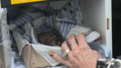 Image post by @PaulMillerMazda on Facebook