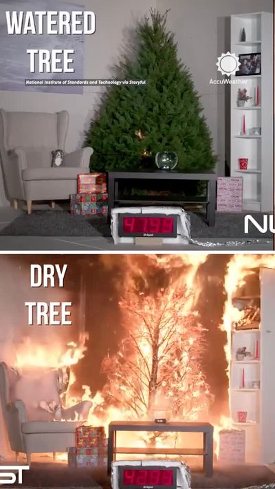 Video post by @accuweather on Instagram