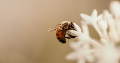 Image post by @kiawahresort on Instagram