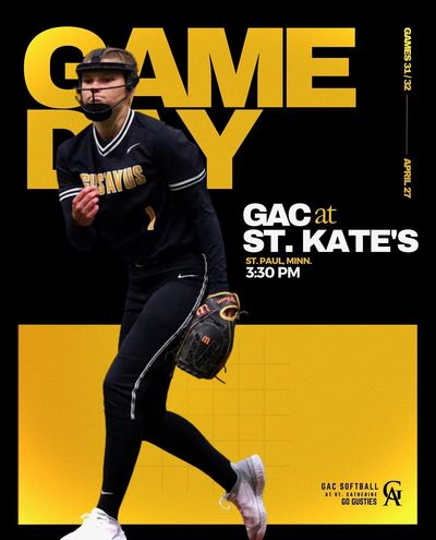 Image post by @gustiesoftball on Instagram