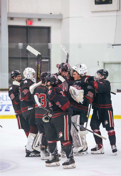 Video post by @cockhockey on TikTok